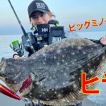 聖地宮崎でオオニベを獲る！！【ヒラメ編】