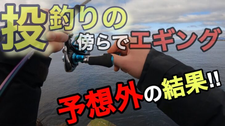 【釣り】投釣りの傍らでエギングしたら予想外の結果になった！日本海 岩内港西防波堤 マガレイ釣り！ヤリイカ　マメイカ　ホッケ