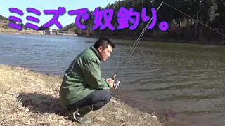 【ダム淡水釣り】ミミズでブラックバスを狙うとこうなる。