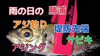 今回は雨の勝浦でアジサビキ釣りとアジングメイン動画です★