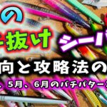 海のバチ抜けシーバス！傾向と攻略法の話 – ４月５月６月のバチパターン編