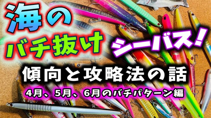 海のバチ抜けシーバス！傾向と攻略法の話 – ４月５月６月のバチパターン編