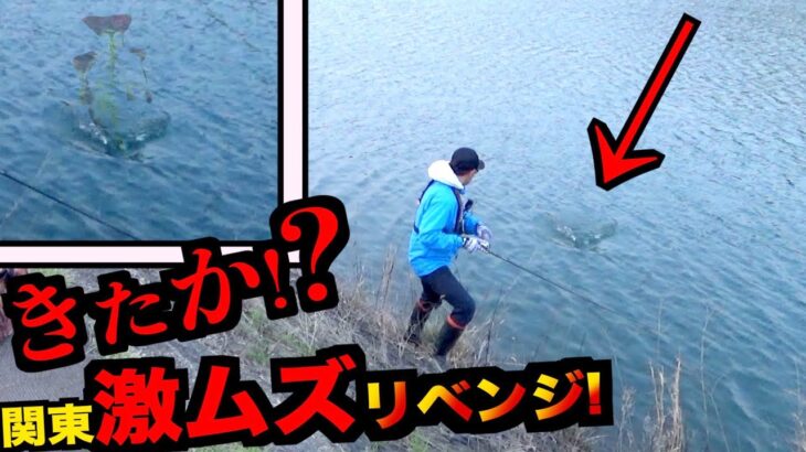 【バス釣り】関東超激ムズバス釣りフィールドで遂に魚を釣り上げた結果が想像を超えてきたw w w