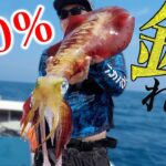 究極のエギ釣り術！100％釣れる仕掛けを考案！更に巨大イカに頭を食い破られる！？【ハイサイ丸でディープエギング#前編】