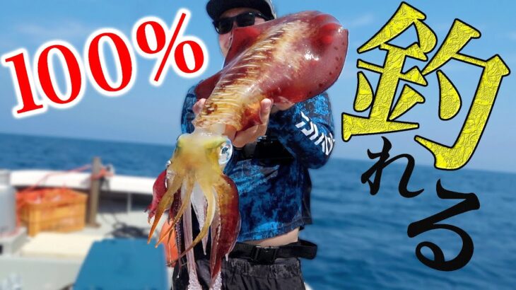 究極のエギ釣り術！100％釣れる仕掛けを考案！更に巨大イカに頭を食い破られる！？【ハイサイ丸でディープエギング#前編】