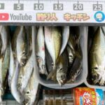 堤防で座ってアジ100匹釣ったサビキと道具がコレ🎣