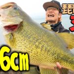 【神回】バス釣りで100年に1度の奇跡が起きた！！　in琵琶湖