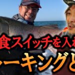 【必殺】ブローウィン140J食わせの間！低活性の魚のスイッチを入れる！　村岡昌憲【切り抜き】