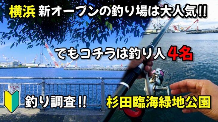 【横浜 釣り調査】大人気釣り場から車で15分。コチラのポイントはこの日の釣り人4名!!静かな公園で、アジ狙いのサビキ釣り調査です‼