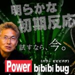 【村上的】#160 速報‼「パワービビビバグ」の釣果が異常 !? 村上が使って感じる事【バス釣り】