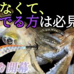 【エギング】春イカが釣れた場所は漁港の○○…良型アオリ2杯ヒット！！