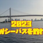 2023 ゴールデンウィークシーバスを釣れ❗️