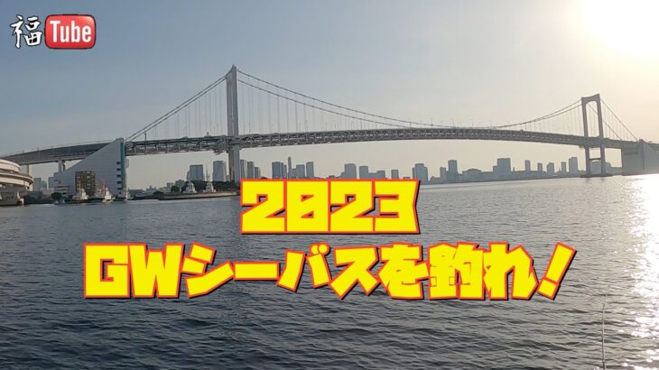 2023 ゴールデンウィークシーバスを釣れ❗️