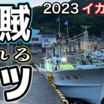 2023[イカメタル]シーズン到来！烏賊の釣れるコツ。