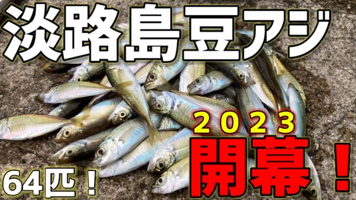 淡路島2023豆アジ開幕！サビキ釣りは延べ竿がおすすめ！【淡路島釣り】