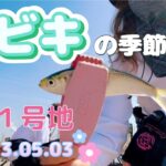 サビキ釣りの季節到来♪武豊１号地で釣り🎣 2023.05.03