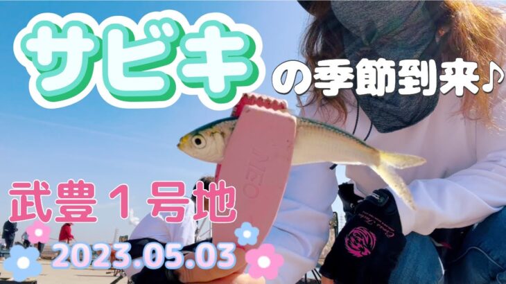 サビキ釣りの季節到来♪武豊１号地で釣り🎣 2023.05.03