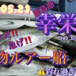 2023.05.21 鹿島港　幸栄丸　青物ルアー　ジギング船
