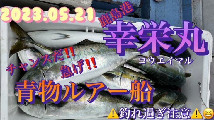 2023.05.21 鹿島港　幸栄丸　青物ルアー　ジギング船
