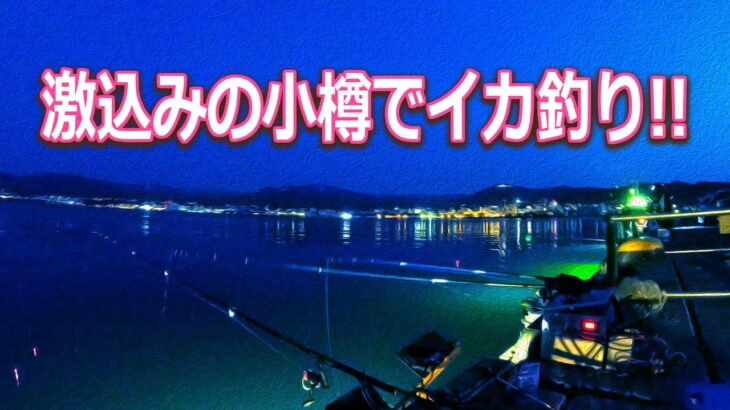 【北海道石狩湾・小樽釣り】激込みの小樽港でイカさん釣り!!　2023.5.6-7　（ヤリイカ・ミミイカ・マメイカ等・電気ウキ・餌巻きテーラー・投光器）