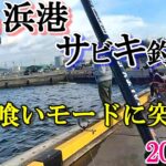 2023年春福島県小名浜港2号ふ頭『春のアジ、サバ釣りに挑戦！』【投げウキサビキ釣り】昼食は美味しいお店「台湾ラーメン味世」