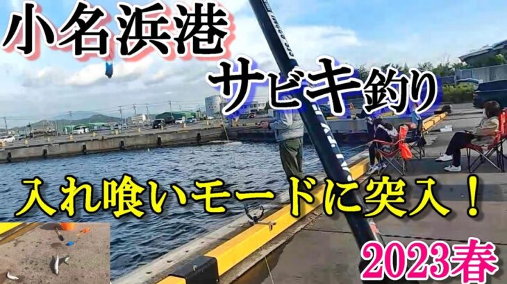 2023年春福島県小名浜港2号ふ頭『春のアジ、サバ釣りに挑戦！』【投げウキサビキ釣り】昼食は美味しいお店「台湾ラーメン味世」