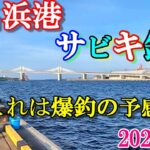 【海釣り】2023年春ゴールデンウィーク福島県小名浜港2号ふ頭『これは爆釣の予感！』【投げウキサビキ釣り】