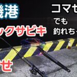 【大磯港】コマセ無しでも豆アジ釣れちゃう　トリックサビキ～泳がせ 釣果あり 2023年5月下旬