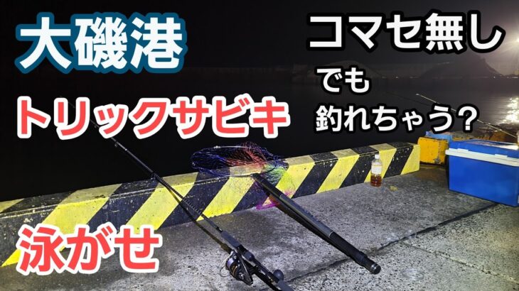 【大磯港】コマセ無しでも豆アジ釣れちゃう　トリックサビキ～泳がせ 釣果あり 2023年5月下旬