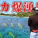 【驚愕】イカ大量発生＆高活性!!白熱するイカとの攻防戦【慶留間一文字2泊3日 #1】