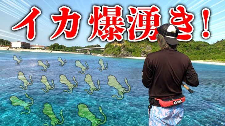 【驚愕】イカ大量発生＆高活性!!白熱するイカとの攻防戦【慶留間一文字2泊3日 #1】