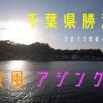 【千葉県外房】勝浦強風アジング　23/04/28