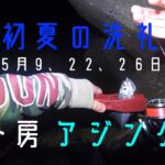 【千葉県外房】初夏の洗礼　アジング修行　23/05/09.22.26