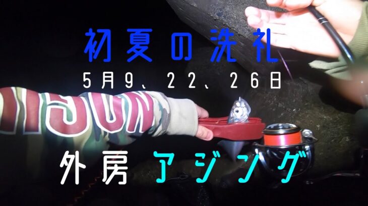 【千葉県外房】初夏の洗礼　アジング修行　23/05/09.22.26