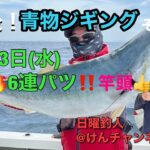 丹後！青物ジギングその2☆5月3日(水)鰤🔥6連パツ‼️竿頭👍