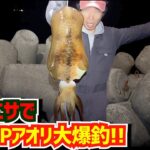 活きアジで釣れない時の奥の手で大爆釣!!2キロUPがバカバカ釣れ…そして伝説へ…