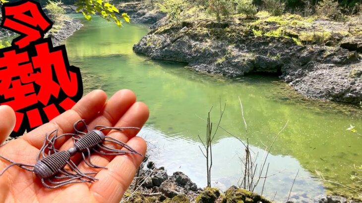 オカッパリ超最新『2way高浮力』を神秘の湖に生息する超擦れまくりブラックバスに投げてみた！