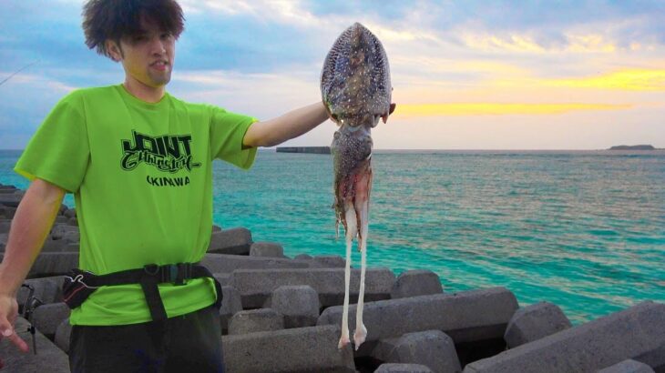 巨大ＧＴが釣れる海で巨大イカを餌にする！！【4泊5日渡名喜遠征＃３】