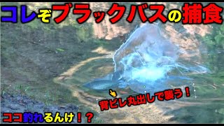 【バス釣り】コレぞブラックバスの捕食やで！5月のイケイケなバスを狙って釣る！