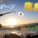 【鹿島灘サーフ】ヒラメを狙いに🎣5月のサーフはどんな感じかな❔