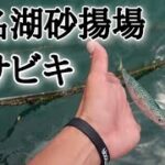 【浜名湖釣り】🎣浜名湖砂揚場5月下旬のサビキ釣り実践とポイント情報☝️