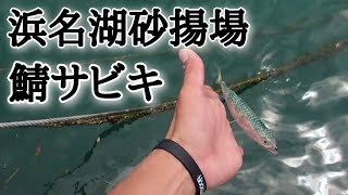 【浜名湖釣り】🎣浜名湖砂揚場5月下旬のサビキ釣り実践とポイント情報☝️