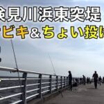 5月の検見川浜東突堤でサビキ釣り＆ちょい投げ釣査｜赤潮が疑われる海で、当たりがない中、釣れた魚はまさかの・・
