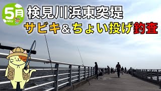 5月の検見川浜東突堤でサビキ釣り＆ちょい投げ釣査｜赤潮が疑われる海で、当たりがない中、釣れた魚はまさかの・・