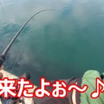 【5月中旬】☆はじめての場所でエギングしてみたら…♪