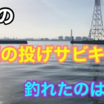 5月の埠頭の投げサビキで釣れたのは？知多半島