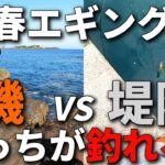 春イカエギングで狙って釣るなら磯と堤防どっちが有利？それぞれの長所を5個ずつ解説します。