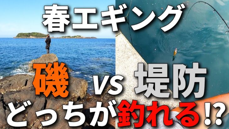 春イカエギングで狙って釣るなら磯と堤防どっちが有利？それぞれの長所を5個ずつ解説します。