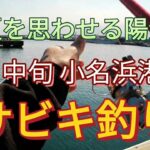 初夏を思わせる小名浜5月中旬のサビキ釣り