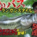 【50アップ×4本】【秦拓馬】岸釣り×リザーバー でかバスランガンスタイル